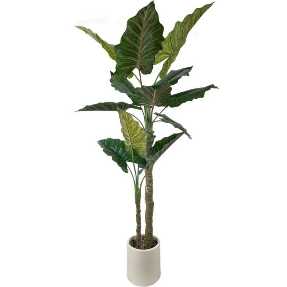 Planta artificial decorativa Colocasia, perfecta para añadir un toque tropical y fresco a cualquier espacio. Su diseño realista aporta vida y naturalidad, ideal tanto para interiores como exteriores sin necesidad de mantenimiento. Disponible en www.kactusrepublic.com, con almacén en Castellón.